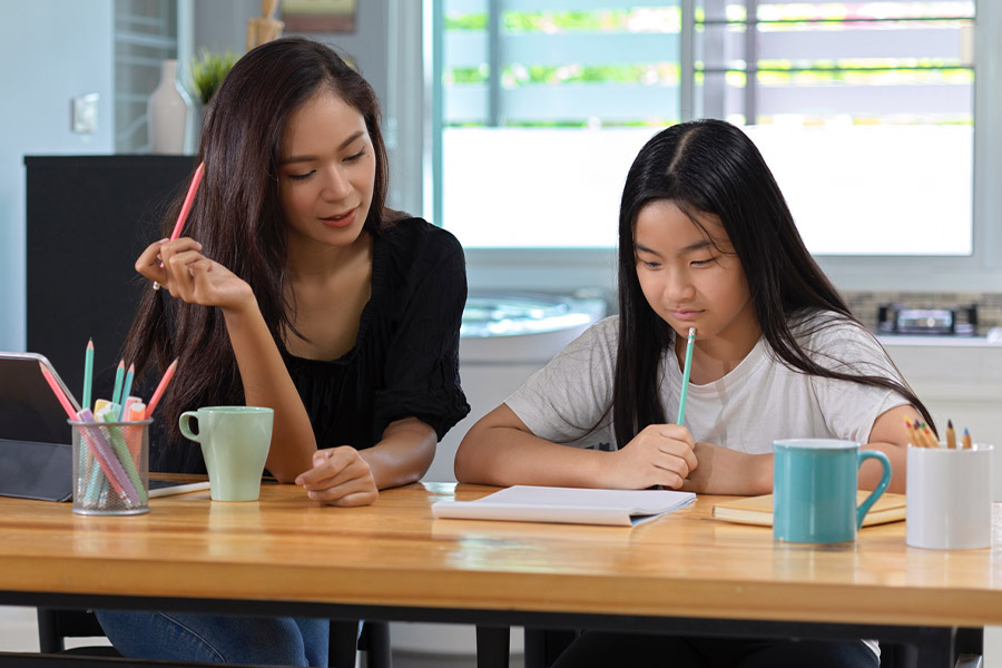 student and tutor together at a desk in Deer Park